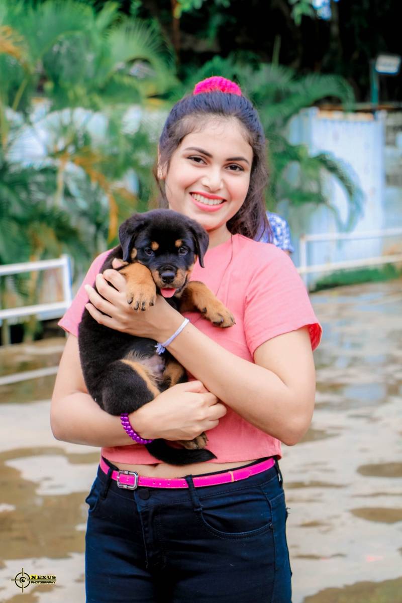 Emasha Senevirathne Puppy Clicks