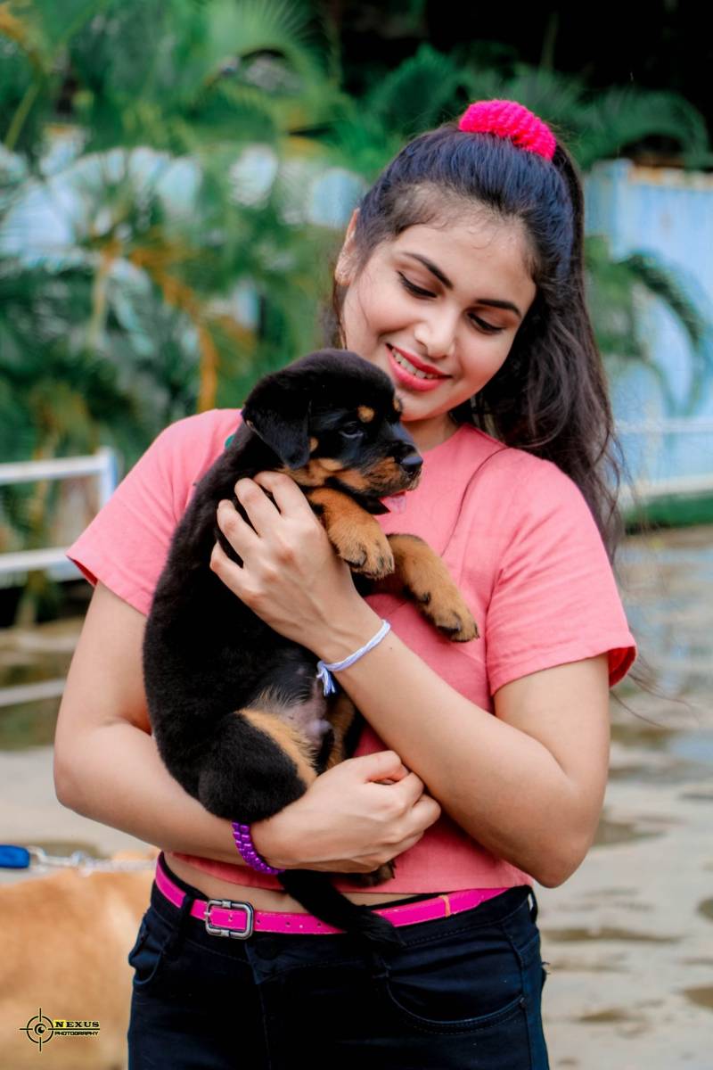 Emasha Senevirathne Puppy Clicks